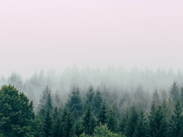 filip-zrnzevic-QsWG0kjPQRY-unsplash_compressed-min