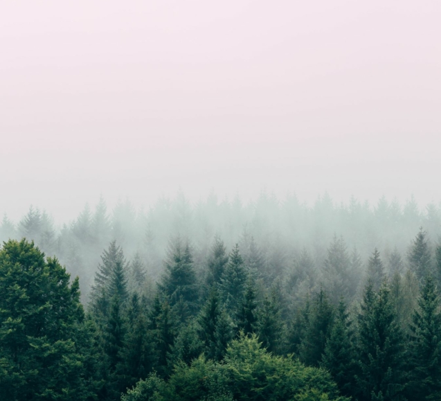 filip-zrnzevic-QsWG0kjPQRY-unsplash_compressed-min