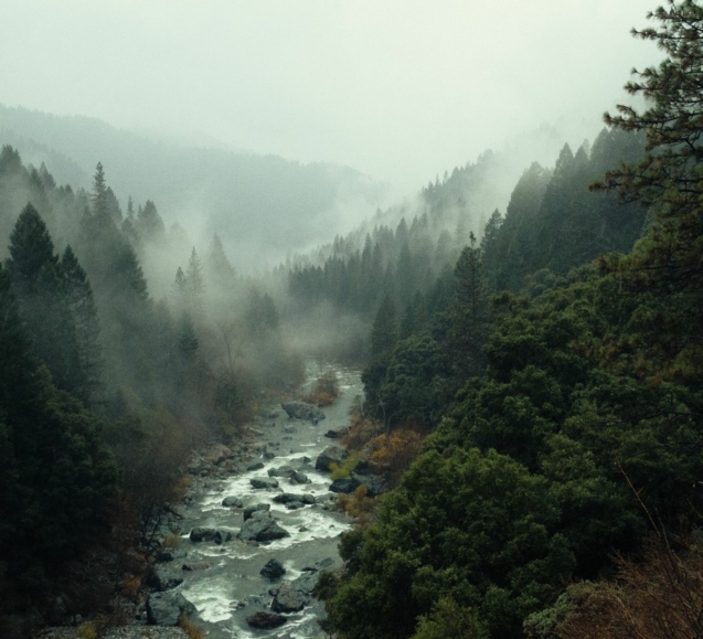 pine-watt-2Hzmz15wGik-unsplash_compressed-min