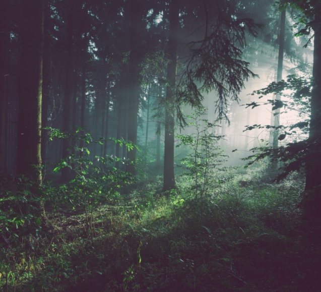 sebastian-unrau-sp-p7uuT0tw-unsplash_compressed-min